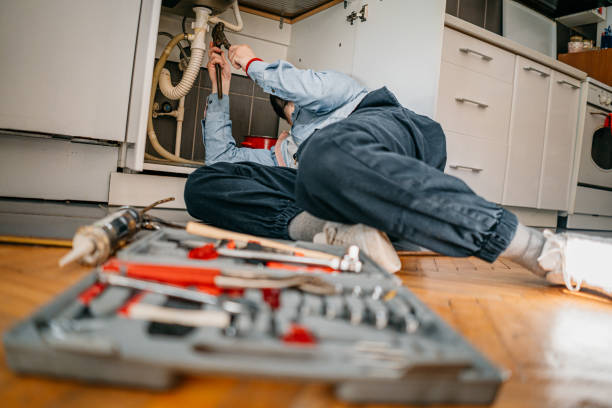 Best Drain Cleaning Services  in Whitmore Lake, MI