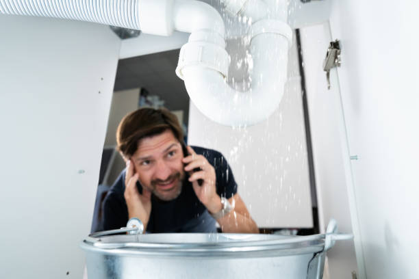 Best Sprinkler Systems  in Whitmore Lake, MI