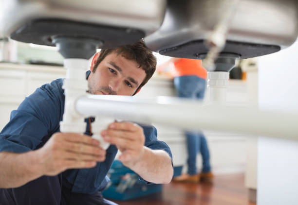Best Local Plumber Services  in Whitmore Lake, MI