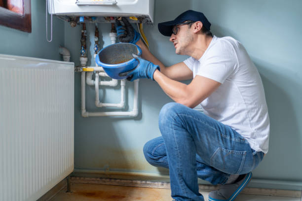 Best Plumbing Services Near Me  in Whitmore Lake, MI