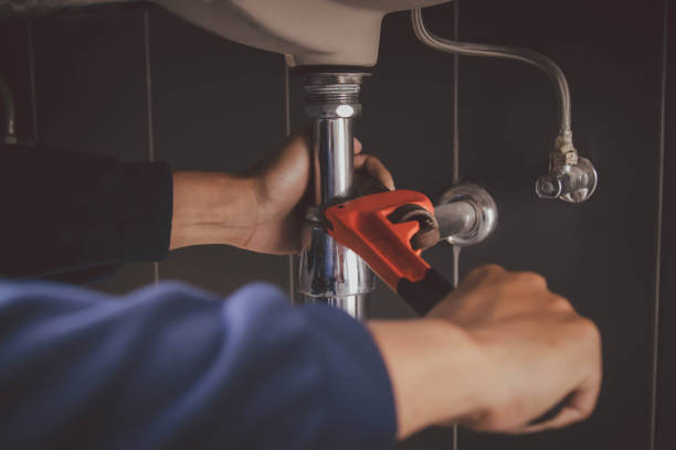 Best Affordable Plumber Near Me  in Whitmore Lake, MI